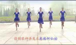 春英广场舞大全视频,舞动健康，乐享生活